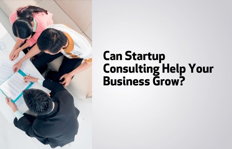Can Startup Consulting Help Your Business Grow?